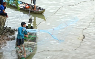 Video: Đua nhau săn cá lăng trên sông Cái Vừng