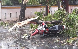 Video: Bão số 5 đang vào đất liền, nhiều nơi ngập đường, gió mạnh