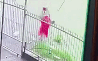 Video: Khoảnh khắc người phụ nữ lọt xuống mương nước ven đường và mất tích ở Đồng Nai