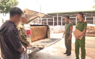 Video: Hai thầy giáo vận chuyển gỗ lậu