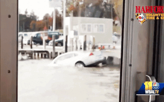 Video: Tài xế lao ôtô xuống sông, may mắn được đội cứu hộ đang diễn tập giải cứu