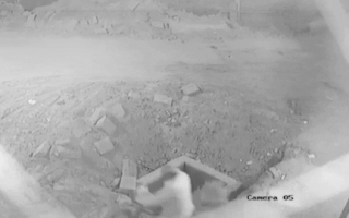 Video: Khoảnh khắc đứng tim người đàn ông rơi thẳng xuống cống thoát nước