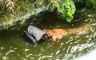 Video: Nhầm lẫn cá sấu thật là mô hình, người đàn ông xuống hồ chụp ảnh bị cắn phải khâu tám mũi