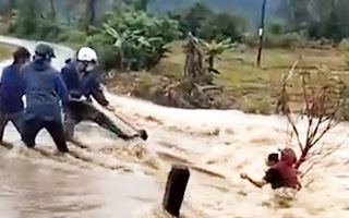 Video: Giải cứu người phụ nữ bám gốc cây giữa dòng nước lũ cuồn cuộn