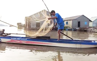 Video: Xúc cá linh cuối mùa nước nổi ở miền Tây