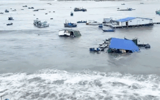 Video: Nhiều lồng bè nuôi tôm hùm và nhà nổi du lịch ở Cam Ranh tan tành sau bão số 9