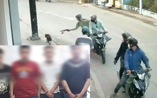 Video: Bắt nhóm trộm gần ngàn con chó, từng dùng bình hơi cay chống trả khi bị truy đuổi