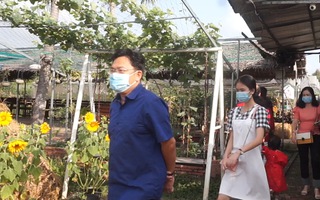 Video: Nô nức du xuân các 'nông trại sạch' ở Cần Thơ