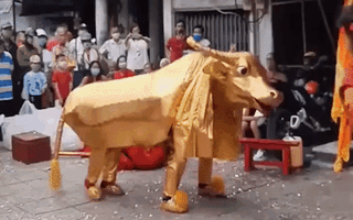 Video: Độc đáo múa trâu vàng ở Sài Gòn dịp Tết Tân Sửu