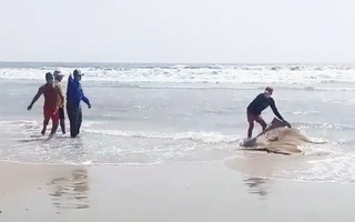 Video: Du khách tá hỏa phát hiện thi thể trôi dạt trên biển Vũng Tàu
