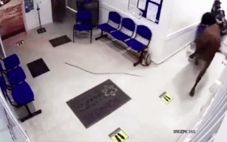 Video: Bò 'điên' lao vào bệnh viện húc nhiều người