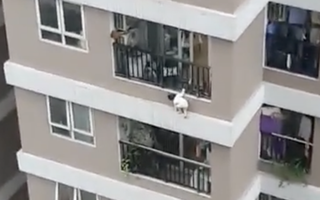 Video: Bé gái 3 tuổi ở Hà Nội rơi từ tầng 12 xuống đất, một nam thanh niên nhoài người cứu được