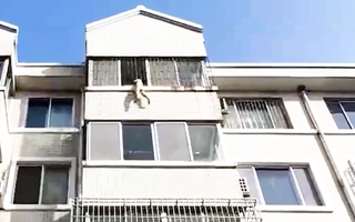 Video: Cứu bé trai 5 tuổi đang treo mình ngoài cửa sổ tầng 4