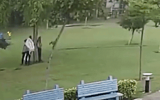 Video: Khoảnh khắc 4 người trú mưa dưới gốc cây bị sét đánh