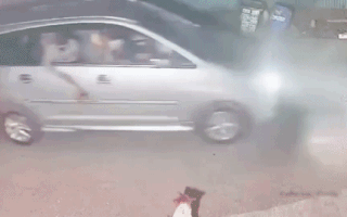 Video: Nhóm người đi ôtô, dùng súng điện trộm chó chỉ trong vài giây