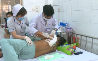 Video: Một người nghi bị bò tót rừng húc gãy xương vai khi làm rẫy