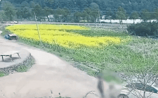 Video: Cụ ông thoát nạn thần kỳ khi bị tài xế ôtô lùi xe, kéo lê dưới gầm