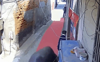 Video: Trâu 'điên' húc bay 3 người đàn ông ở Trung Quốc