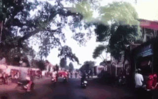 Video: Cây đa cổ thụ hơn 300 tuổi gãy cành, đè 4 học sinh bị thương