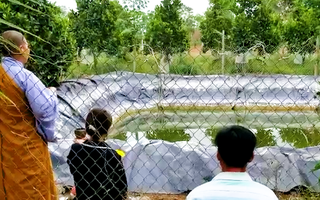 Video: Đau xót 3 bé mầm non đuối nước ngay tại hồ nước tưới cà phê trong vườn