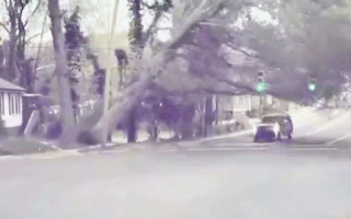 Video: Chỉ cần chậm một chút, chiếc ôtô đã bị cây cổ thụ đè bẹp