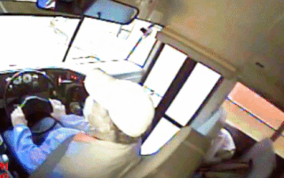 Video: Sự cố hi hữu, hươu con lao thủng kính xe buýt đang chạy ở Mỹ