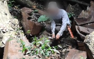 Video: Gỗ quý trong rừng đặc dụng Cham Chu bị tàn phá