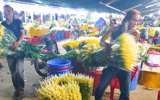 Video: TP.HCM cho mở lại chợ hoa Đầm Sen trong 3 ngày, chia sẻ với nông dân Lâm Đồng tiêu thụ hoa