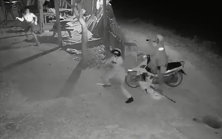 Video: Trích xuất camera trộm chó hung hãn chống trả chủ nhà