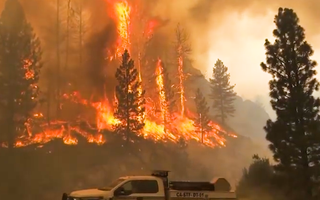 Video: Nắng nóng hơn 54 độ C, cháy khắp nơi, bang California sơ tán khẩn cấp hàng ngàn người