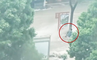 Video: Người đàn ông giữ được mạng sống nhờ bám chặt vào thân cây giữa dòng lũ chảy siết