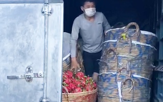 Video: Trốn sau thùng xe tải chở thanh long để né chốt kiểm dịch COVID-19