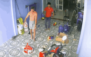 Video: Rắn hổ mang lao vào nhà, nơi một cháu bé đang ngồi chơi ở Sóc Trăng