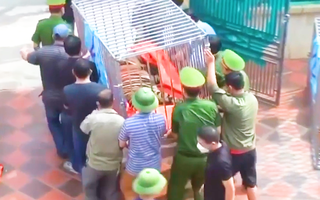 Video: Vụ bắt 17 con hổ nuôi nhốt ở Nghệ An, 8 con đã chết, hiện đang cấp đông để phục vụ điều tra