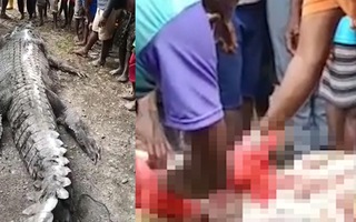 Video: Chuyện rợn người ở Indonesia, dân làng mổ bụng cá sấu phát hiện thi thể, người thân khóc ngất
