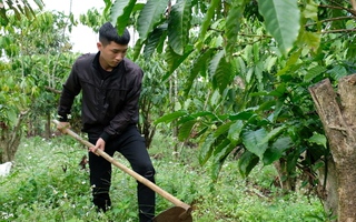 Làm rẫy, chạy bàn, phục vụ... để nuôi ước mơ đại học