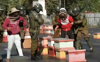 Video: Người dân Chile mang hàng chục tổ ong mật xuống đường khiến 7 cảnh sát nhập viện
