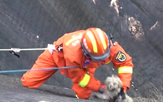 Video: Lính cứu hỏa giải cứu thú cưng mắc kẹt trên vách núi