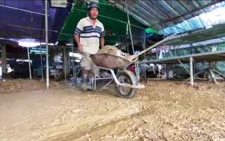Video: Nhiều nơi ở Đà Nẵng vẫn ngổn ngang bùn đất sau đêm lũ lịch sử