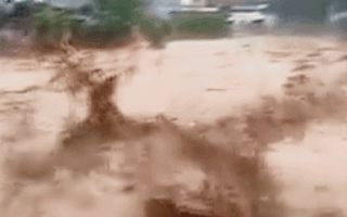 Video: Cận cảnh lũ quét cuốn trôi nhà cửa, ô tô ở Nghệ An