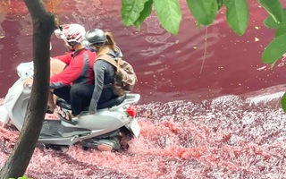 Video: Nước màu đỏ đến 'rợn người' tràn ngập nhiều con đường ở Tân Phú