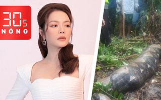 Bản tin 30s Nóng: Bắt Lý Nhã Kỳ là tin đồn; Thi thể một phụ nữ còn nguyên vẹn trong bụng trăn 'khủng'