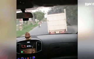 Video: Xe tải cản đường chở người bị trâu húc vỡ gan đi cấp cứu, vì sao cả tài xế xe cứu thương cũng bị phạt?