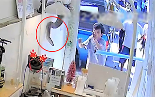 Video: Trăn 'đột nhập' quán trà sữa từ trần nhà, nữ nhân viên la hét thất thanh