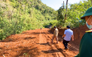 Video: Kiểm tra vụ phá rừng làm đường tại vườn quốc gia Chư Yang Sin và Bidoup Núi Bà