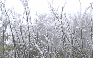 Video: Ngắm băng giá phủ trắng đèo Ô Quy Hồ, đỉnh núi Phja Oắc