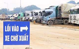 Video: Lạng Sơn tạm thời dừng tiếp nhận xe hoa quả tươi lên cửa khẩu đến ngày 5-3