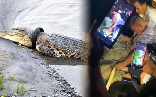 Video: Nhử cá sấu lên bờ để cắt chiếc vỏ xe tròng quanh cổ nó suốt 5 năm