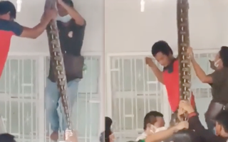 Video: Công nhân hợp sức bắt trăn 'khủng' trên trần nhà