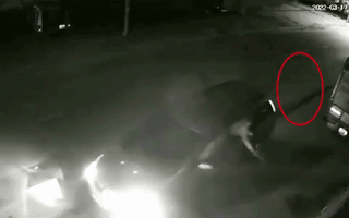 Video: Cảnh giác nhóm người đi ô tô, dùng súng bắn điện trộm chó trong đêm